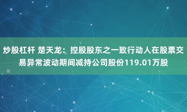 炒股杠杆 楚天龙：控股股东之一致行动人在股票交易异常波动期间减持公司股份119.01万股