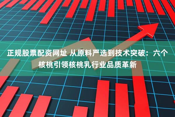 正规股票配资网址 从原料严选到技术突破：六个核桃引领核桃乳行业品质革新
