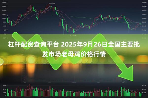 杠杆配资查询平台 2025年9月26日全国主要批发市场老母鸡价格行情