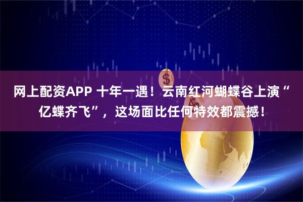 网上配资APP 十年一遇！云南红河蝴蝶谷上演“亿蝶齐飞”，这场面比任何特效都震撼！